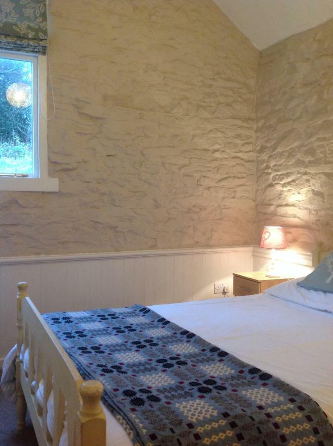 קארמרת'ן Cwmtwrch Cottage מראה חיצוני תמונה