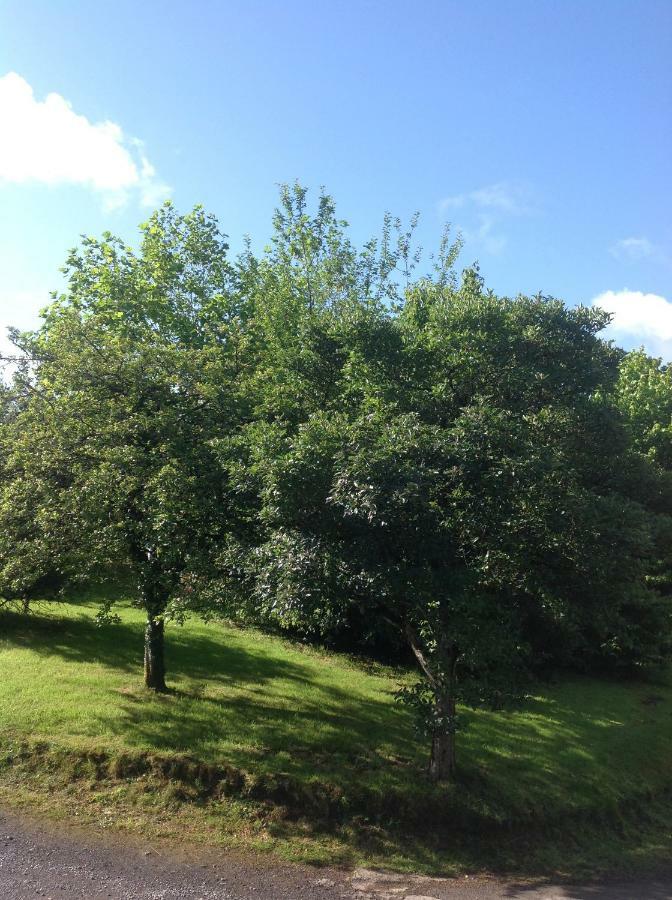 קארמרת'ן Cwmtwrch Cottage מראה חיצוני תמונה